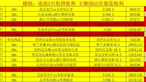 费内巴切主场霸气迎战，能否一役斩落胜局？